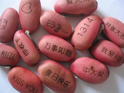 魔豆激光打标样品图