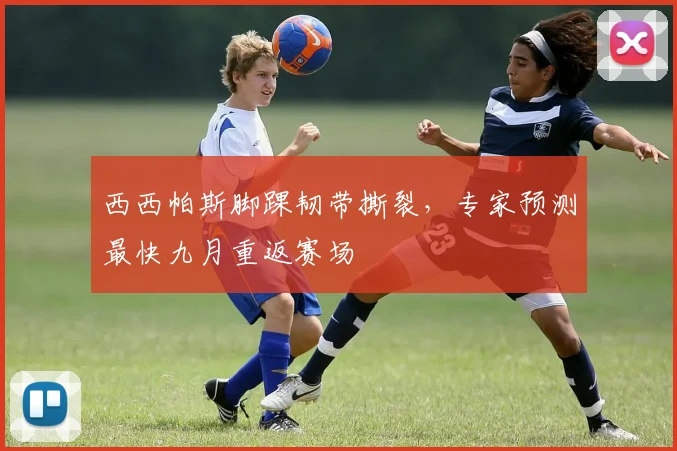 西西帕斯脚踝韧带撕裂，专家预测最快九月重返赛场